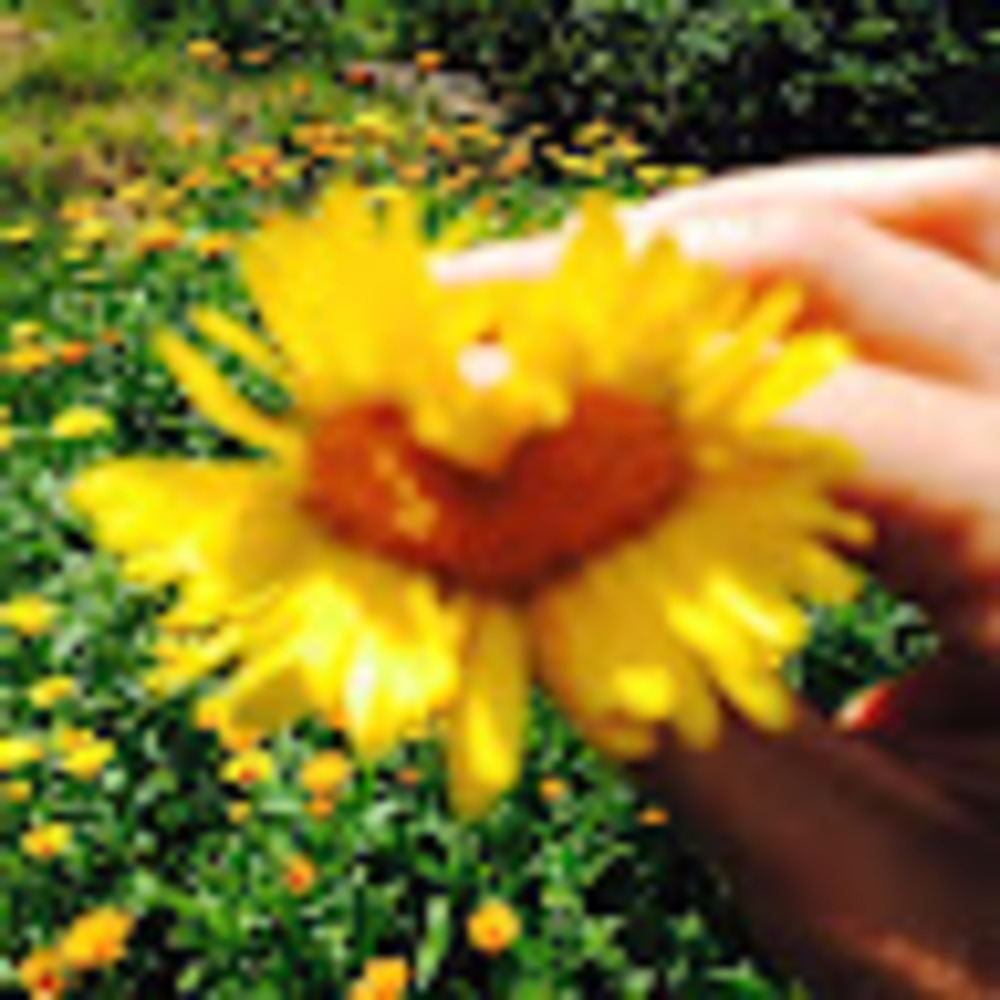 Meet your Posher, Julie